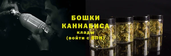 PSILOCYBIN Горнозаводск