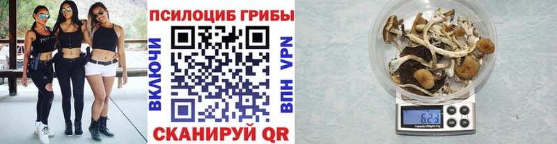 цена   Добрянка  darknet состав  Псилоцибиновые грибы GOLDEN TEACHER 